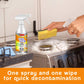 Powerful Heavy Oil Foam Cleaner